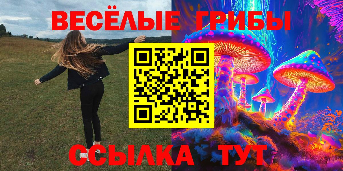 Минеральные Воды  Псилоцибиновые грибы Cubensis  Вход с VPN 